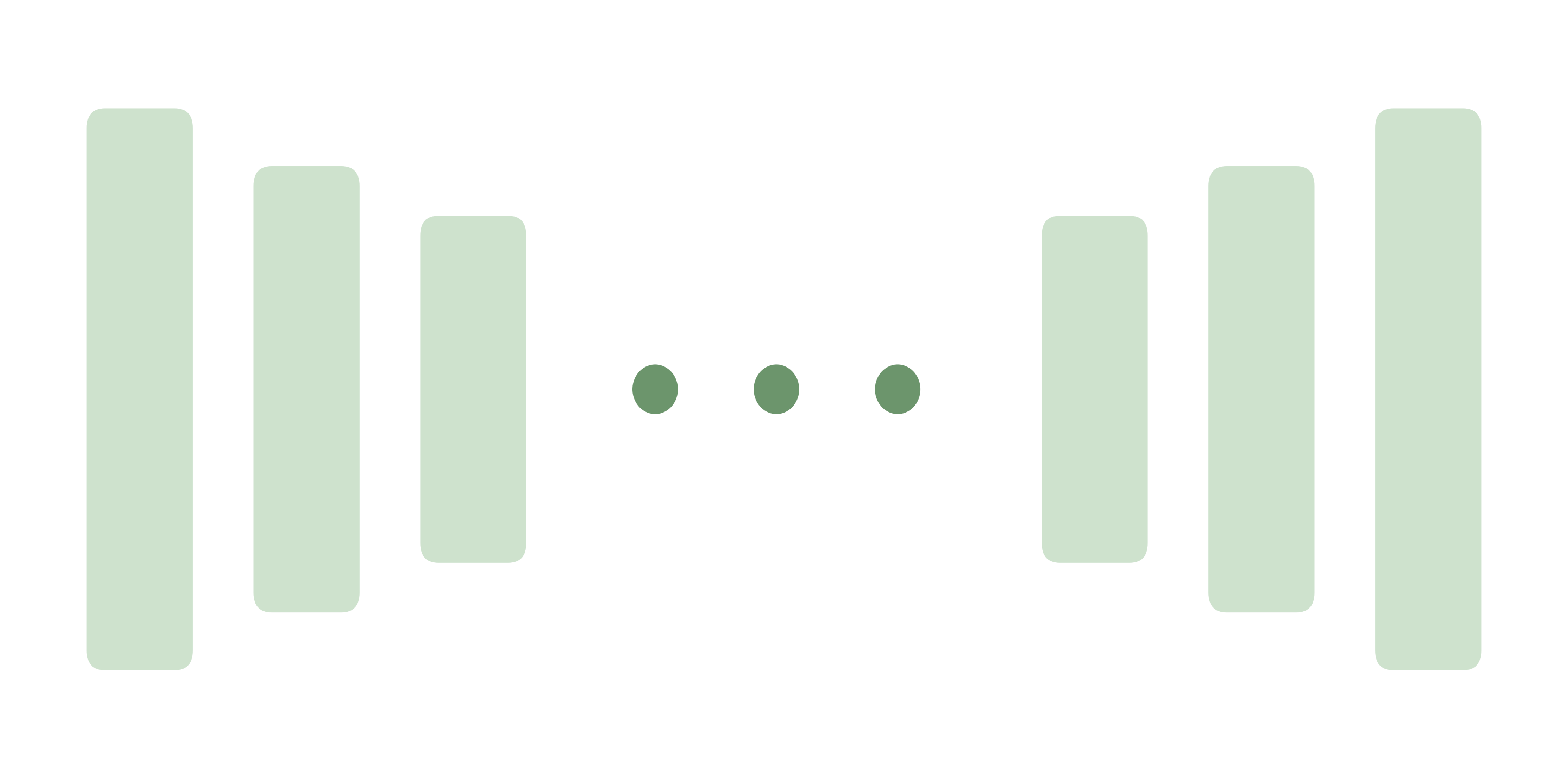 Foundation Model